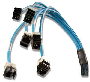 cat6cable.png